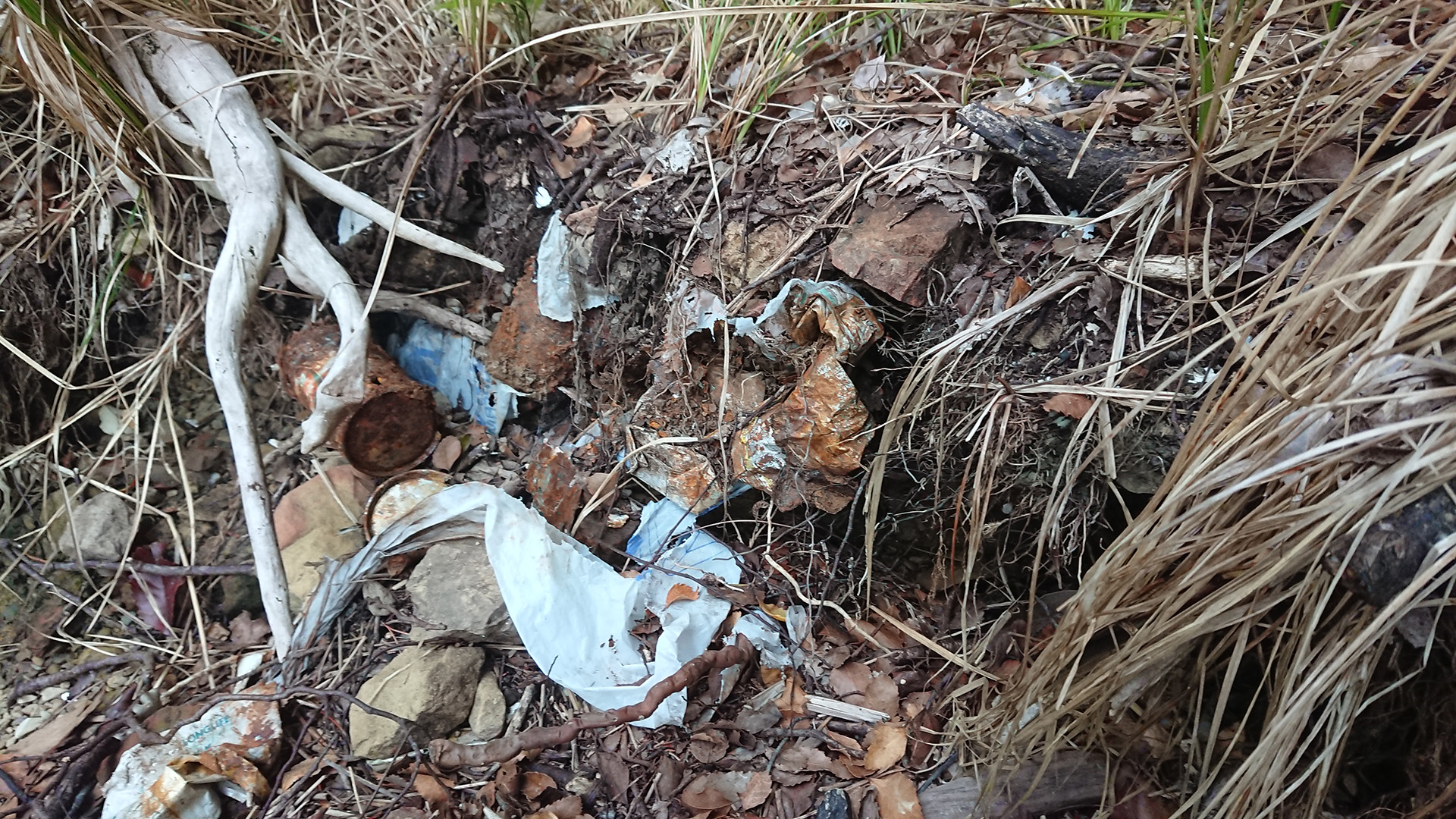 bag of rubbish buried in Ferndale