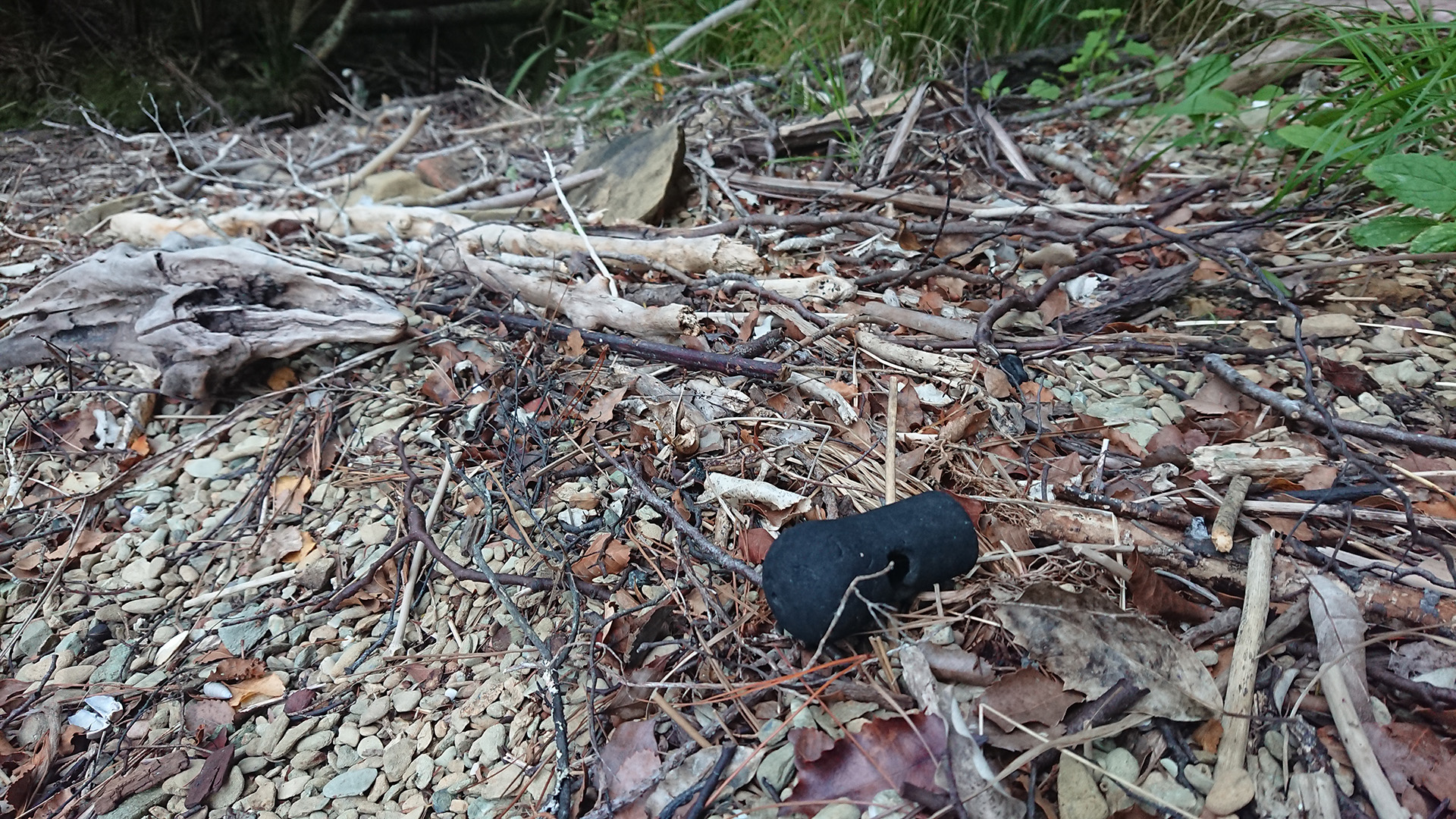 beach rubbish in Ferndale
